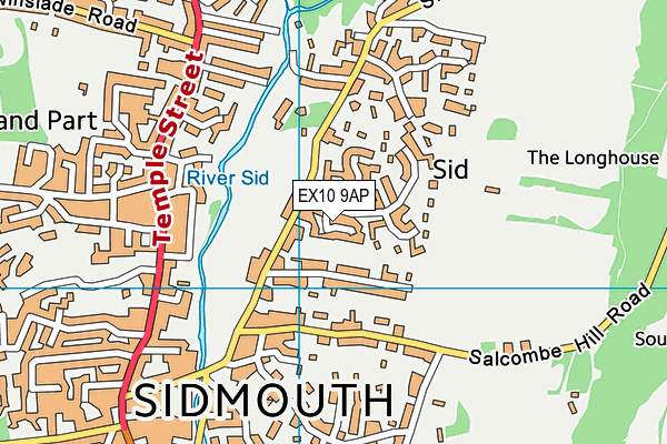 EX10 9AP map - OS VectorMap District (Ordnance Survey)