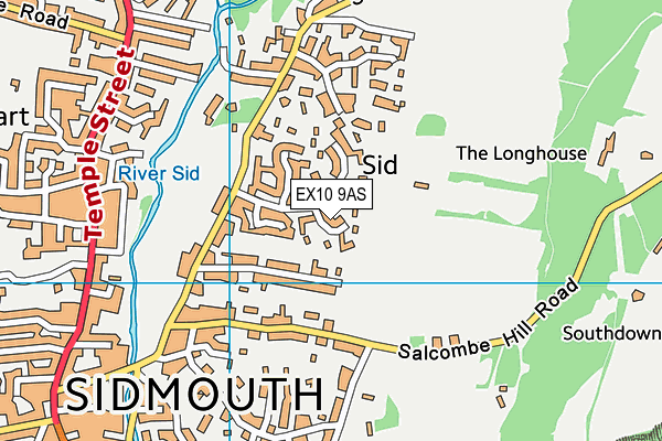 EX10 9AS map - OS VectorMap District (Ordnance Survey)