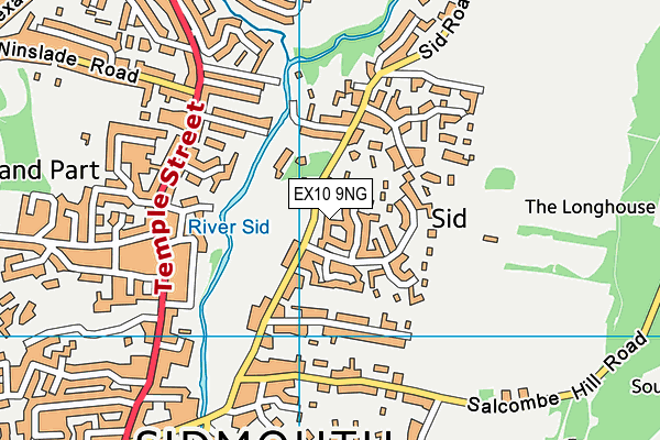 EX10 9NG map - OS VectorMap District (Ordnance Survey)