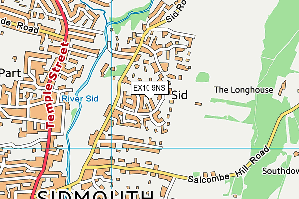 EX10 9NS map - OS VectorMap District (Ordnance Survey)