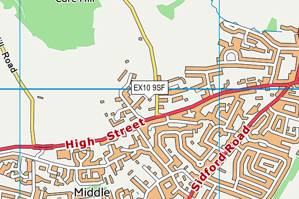 EX10 9SF map - OS VectorMap District (Ordnance Survey)