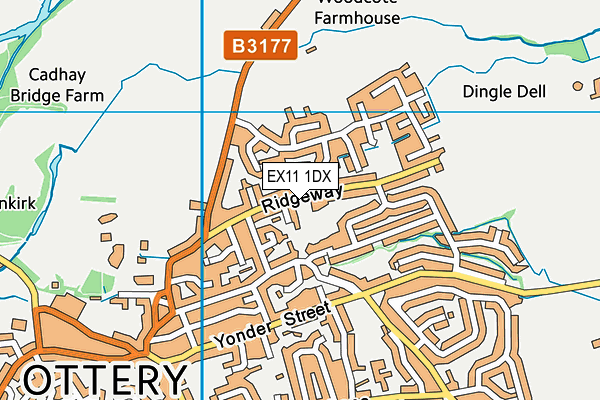 EX11 1DX map - OS VectorMap District (Ordnance Survey)