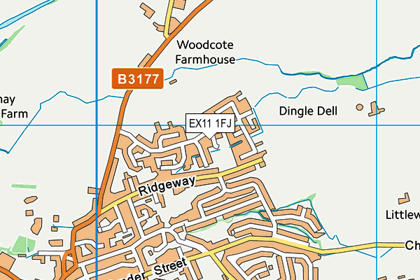 EX11 1FJ map - OS VectorMap District (Ordnance Survey)