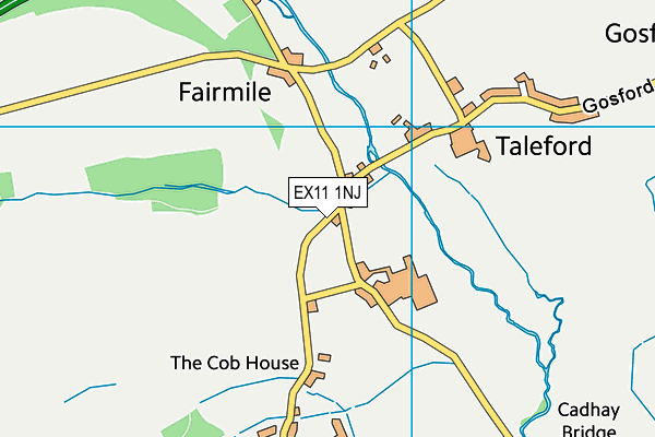 EX11 1NJ map - OS VectorMap District (Ordnance Survey)