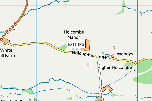 EX11 1PG map - OS VectorMap District (Ordnance Survey)