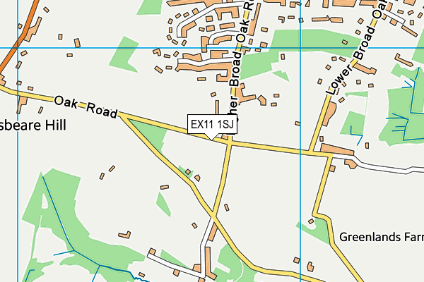 EX11 1SJ map - OS VectorMap District (Ordnance Survey)