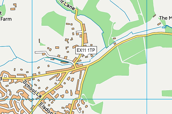 EX11 1TP map - OS VectorMap District (Ordnance Survey)