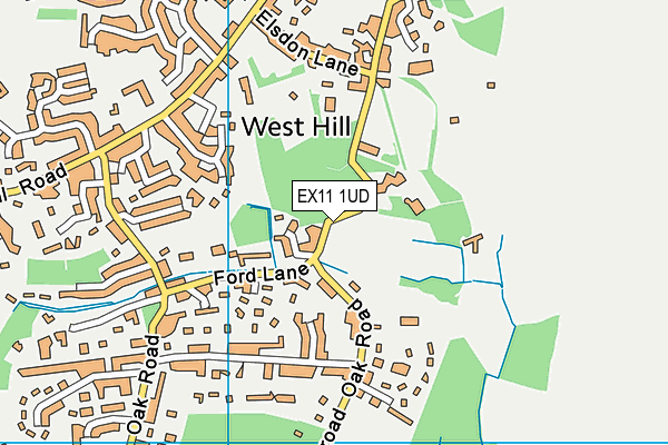 EX11 1UD map - OS VectorMap District (Ordnance Survey)