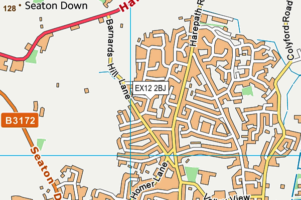 EX12 2BJ map - OS VectorMap District (Ordnance Survey)