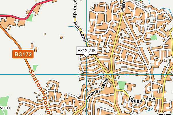 EX12 2JS map - OS VectorMap District (Ordnance Survey)