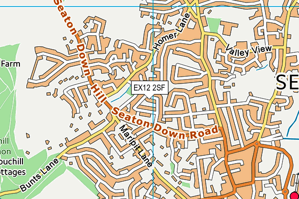 EX12 2SF map - OS VectorMap District (Ordnance Survey)