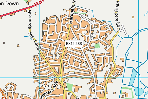 EX12 2SS map - OS VectorMap District (Ordnance Survey)
