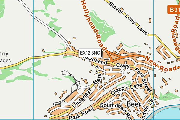 EX12 3NG map - OS VectorMap District (Ordnance Survey)