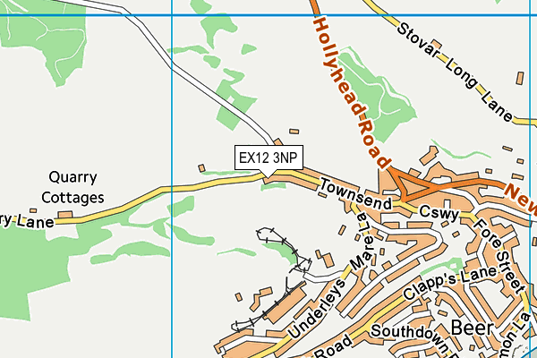 EX12 3NP map - OS VectorMap District (Ordnance Survey)