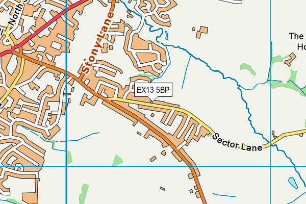 Axminster Town Football Club (Closed) map (EX13 5BP) - OS VectorMap District (Ordnance Survey)