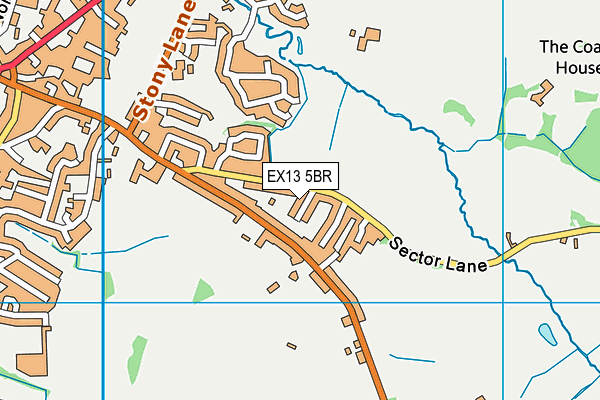 EX13 5BR map - OS VectorMap District (Ordnance Survey)