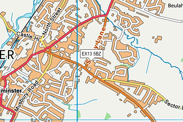 EX13 5BZ map - OS VectorMap District (Ordnance Survey)