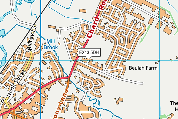 EX13 5DH map - OS VectorMap District (Ordnance Survey)