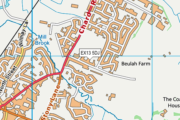 EX13 5DJ map - OS VectorMap District (Ordnance Survey)