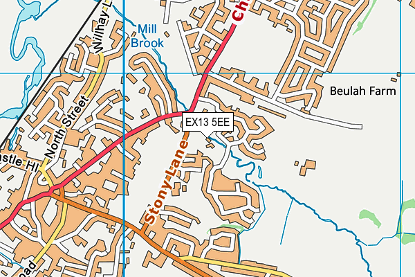 EX13 5EE map - OS VectorMap District (Ordnance Survey)