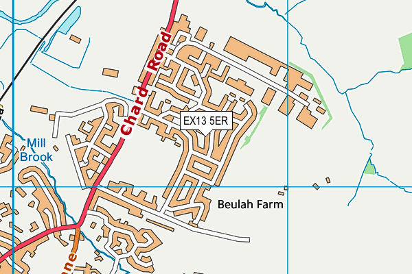 EX13 5ER map - OS VectorMap District (Ordnance Survey)