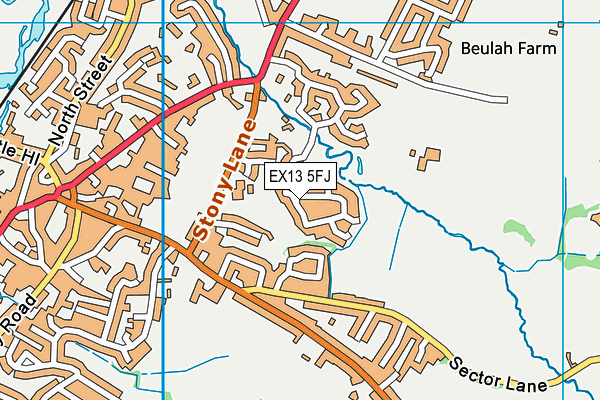 EX13 5FJ map - OS VectorMap District (Ordnance Survey)