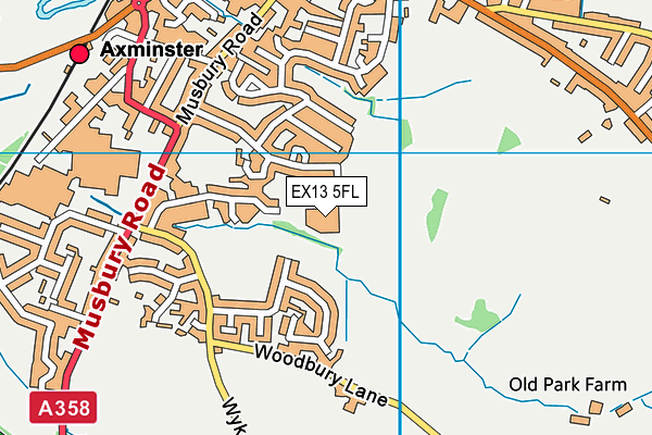 EX13 5FL map - OS VectorMap District (Ordnance Survey)