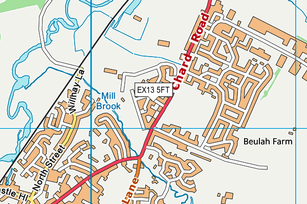 EX13 5FT map - OS VectorMap District (Ordnance Survey)