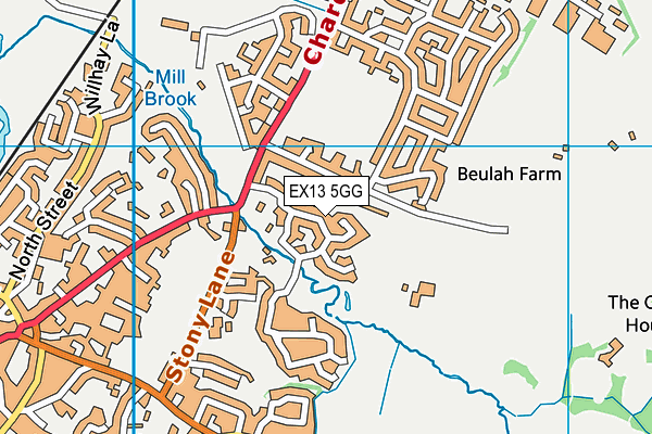 EX13 5GG map - OS VectorMap District (Ordnance Survey)