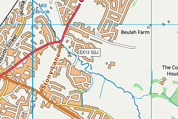 EX13 5GJ map - OS VectorMap District (Ordnance Survey)