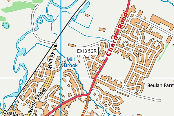 EX13 5GR map - OS VectorMap District (Ordnance Survey)