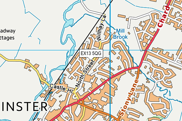 EX13 5QG map - OS VectorMap District (Ordnance Survey)