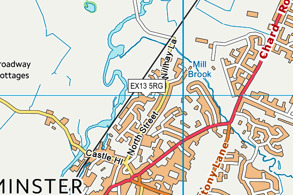 EX13 5RG map - OS VectorMap District (Ordnance Survey)