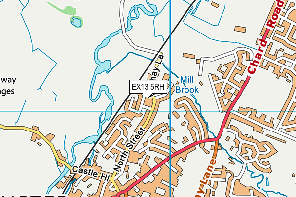 EX13 5RH map - OS VectorMap District (Ordnance Survey)