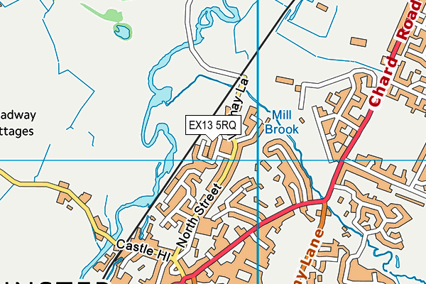 EX13 5RQ map - OS VectorMap District (Ordnance Survey)