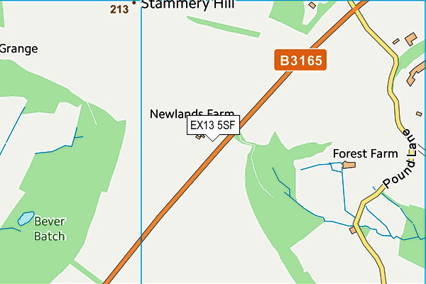 EX13 5SF map - OS VectorMap District (Ordnance Survey)