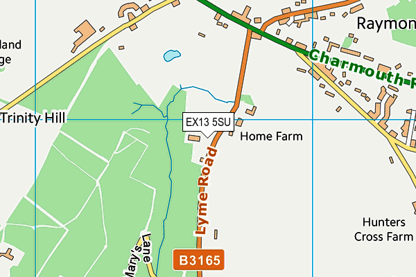 EX13 5SU map - OS VectorMap District (Ordnance Survey)