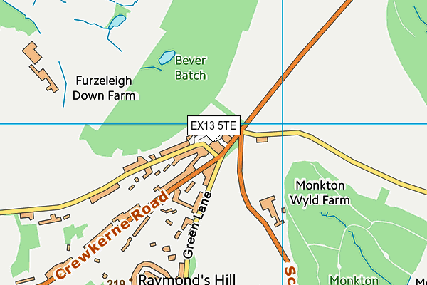 EX13 5TE map - OS VectorMap District (Ordnance Survey)