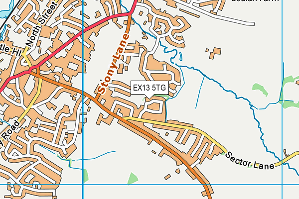 EX13 5TG map - OS VectorMap District (Ordnance Survey)