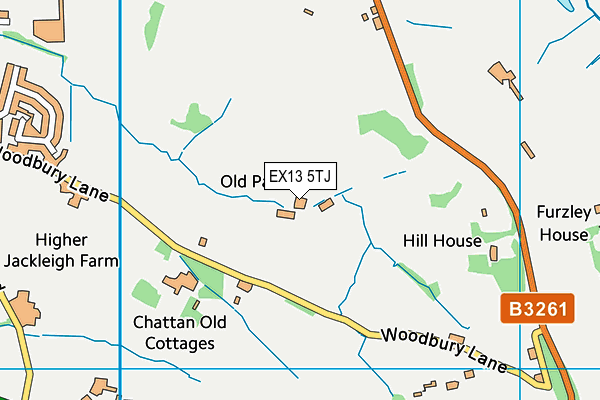 EX13 5TJ map - OS VectorMap District (Ordnance Survey)