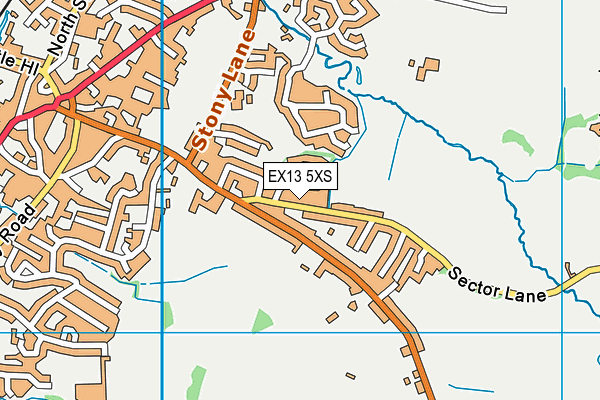 EX13 5XS map - OS VectorMap District (Ordnance Survey)