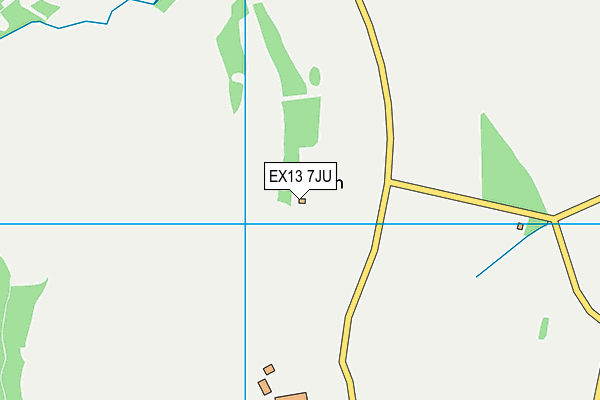 EX13 7JU map - OS VectorMap District (Ordnance Survey)