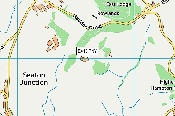 EX13 7NY map - OS VectorMap District (Ordnance Survey)