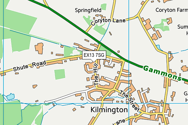 EX13 7SG map - OS VectorMap District (Ordnance Survey)