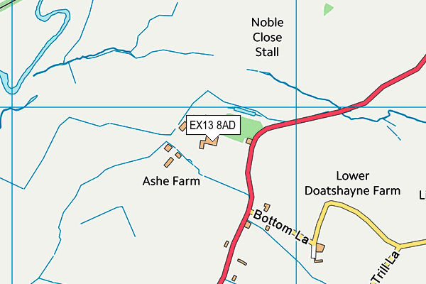 EX13 8AD map - OS VectorMap District (Ordnance Survey)
