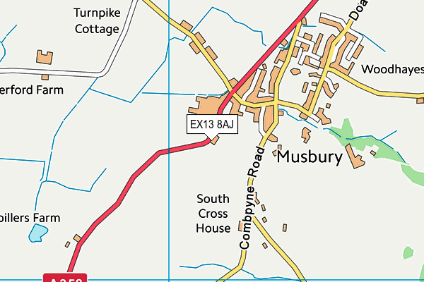 EX13 8AJ map - OS VectorMap District (Ordnance Survey)