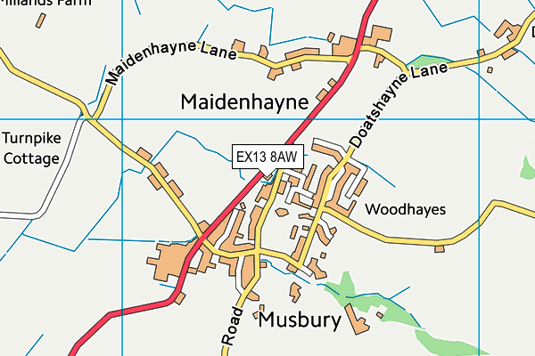 EX13 8AW map - OS VectorMap District (Ordnance Survey)