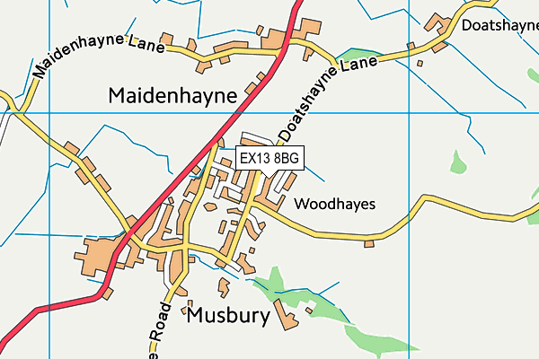 EX13 8BG map - OS VectorMap District (Ordnance Survey)