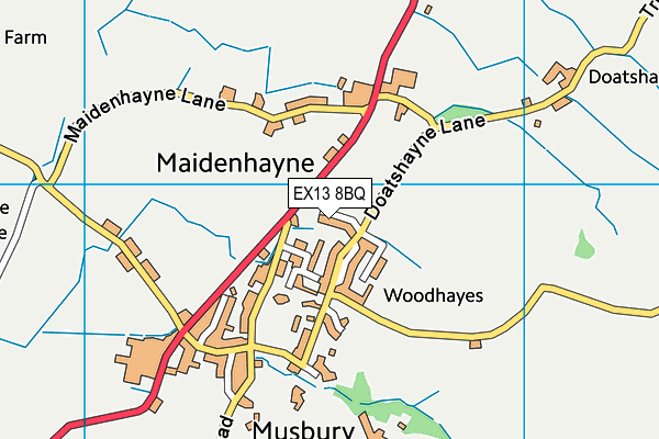 EX13 8BQ map - OS VectorMap District (Ordnance Survey)