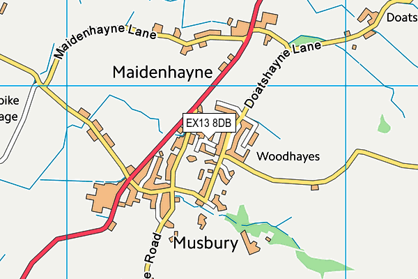 EX13 8DB map - OS VectorMap District (Ordnance Survey)